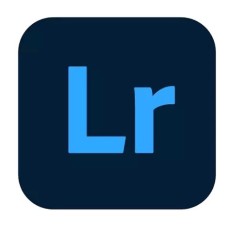 Adobe Lightroom Pro for teams - Multiple Platforms Multi Asian Languages License (1 user 1 year)